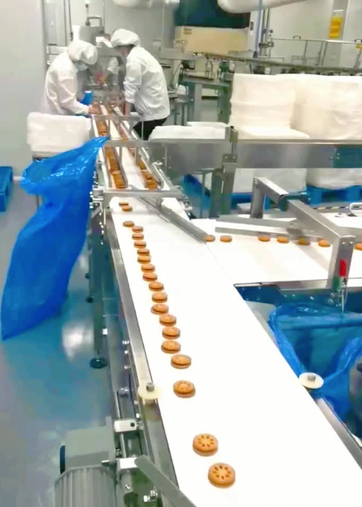 Estudio de caso de la l&iacute;nea automatizada de envasado de galletas de Soontrue